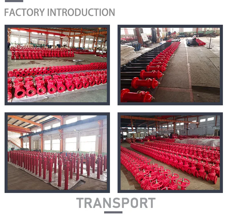 10′′ DN250 Fire Fighting Equipment FM UL Approved 350psi Swing Check Valve with Grooved End