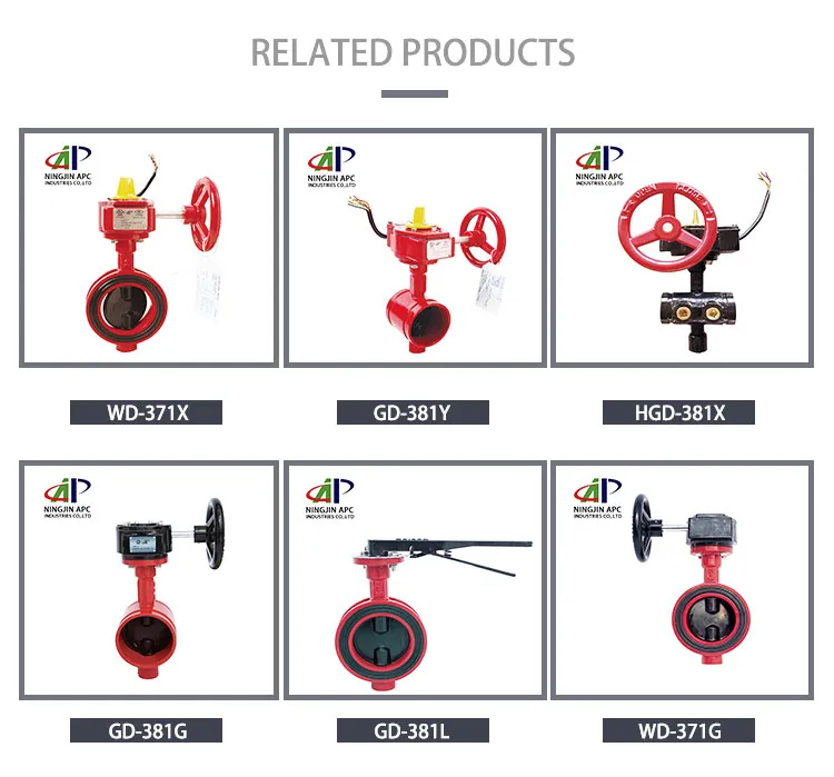 10′′ DN250 Fire Fighting Equipment FM UL Approved 350psi Swing Check Valve with Grooved End