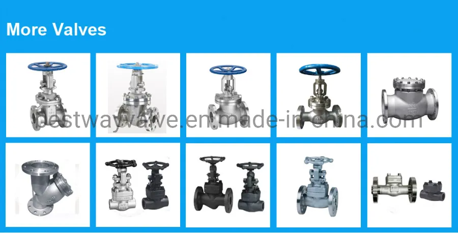 1000wog 304 316 Screwed Manual 2PC Stainless Steel Ball Valve