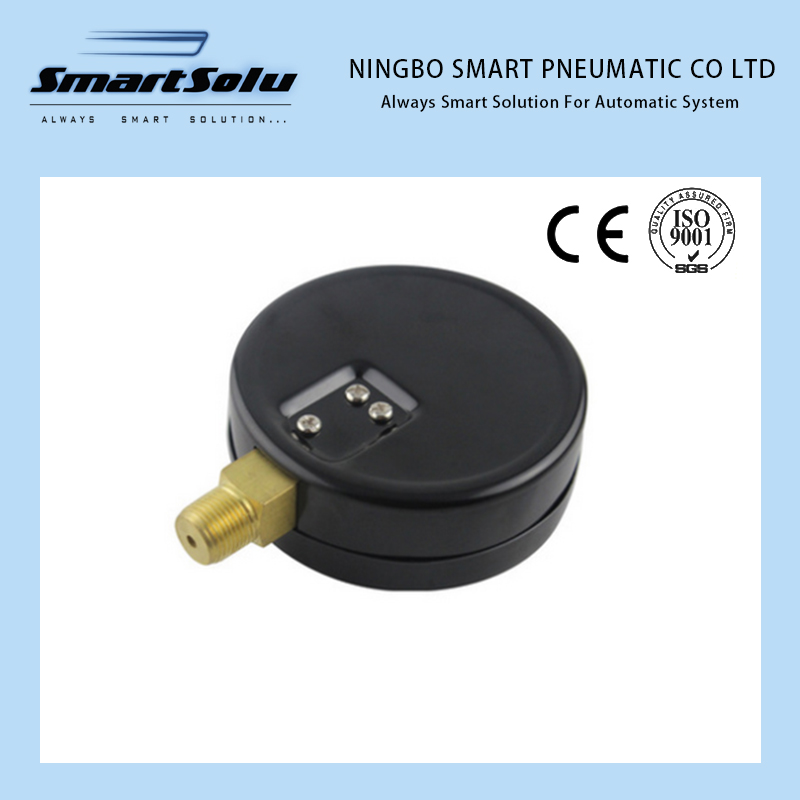 100mm Factory Wholesale Ordinary Pressure Meter