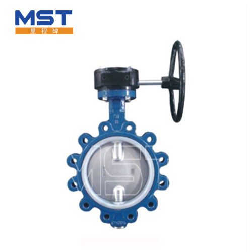 Design purpose of Butterfly Valve lock spindle