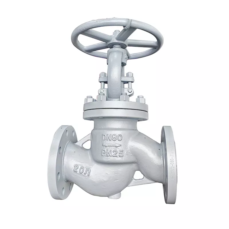 Globe Valve Basics and How They Function