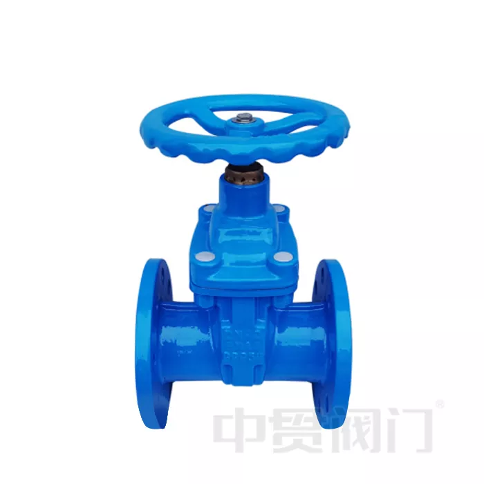 Gate Valve Basics and Working Principles