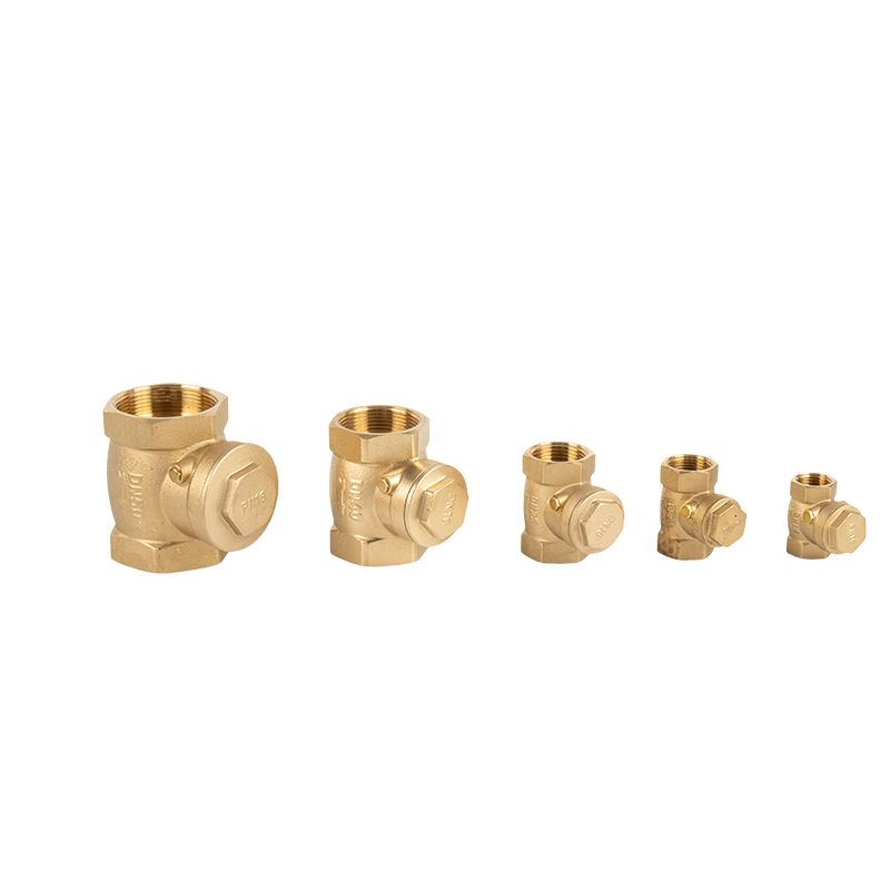 How Long Does a Brass Check Valve Typically Last