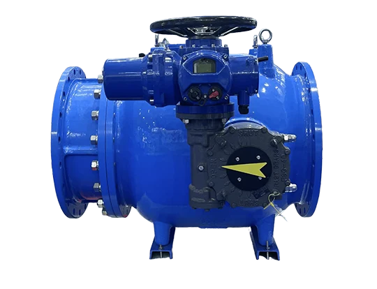 What Are The Common Check Valve Problems