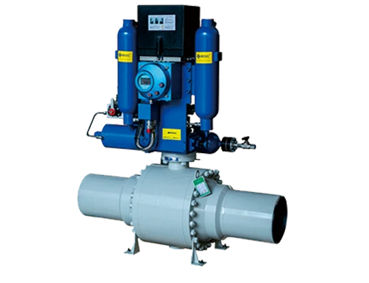 What are Common Globe Valve Problems and How to Fix Them