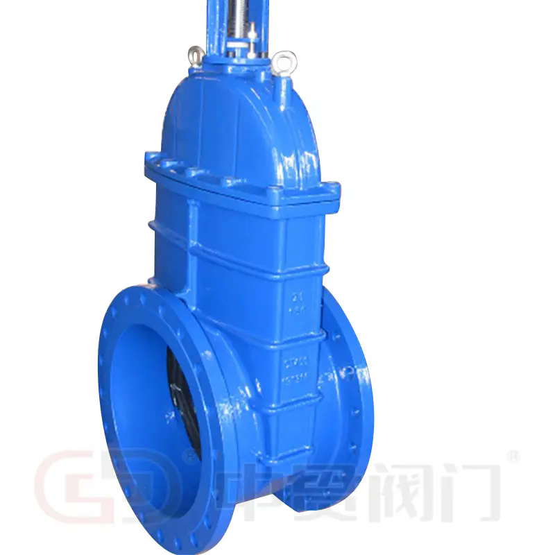 What Is a Gate Valve?