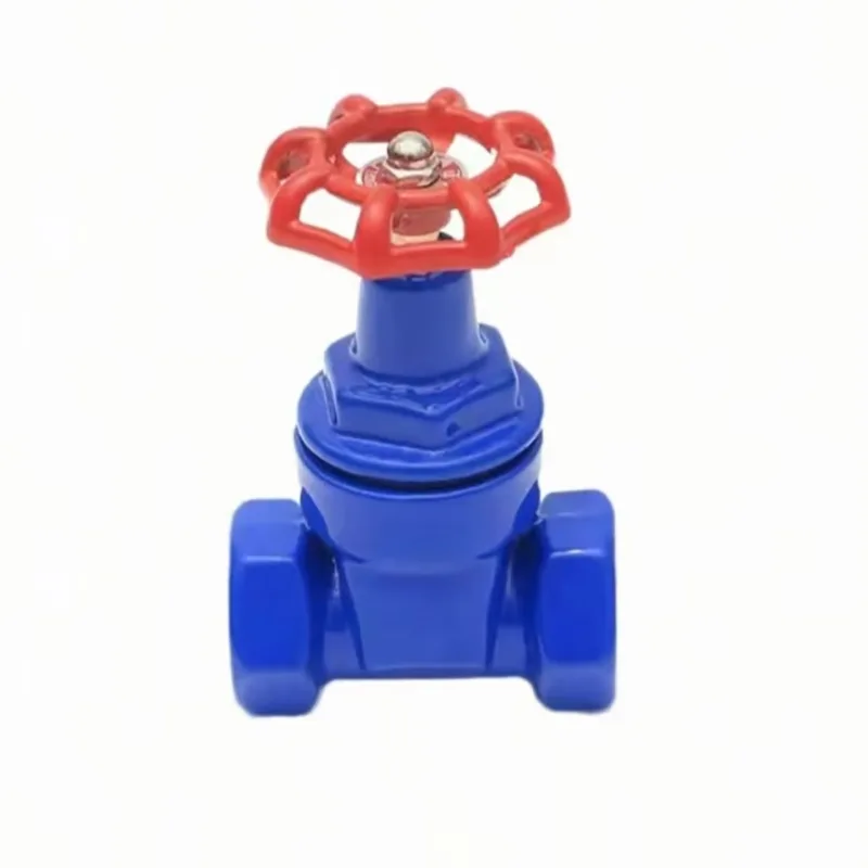 How Can You Identify a High-Quality Cast Iron Threaded Gate Valve Before Purchase