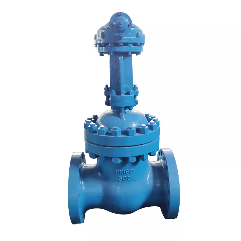 When Should You Choose Hard Seal Gate Valves Instead of Butterfly Valves for Isolation