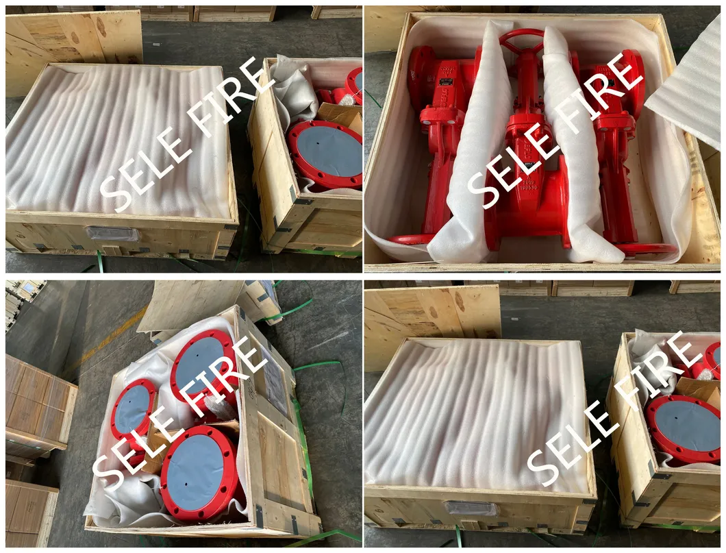 250psi Ductile Iron UL/FM Approved Check Valves with Resilient Seated