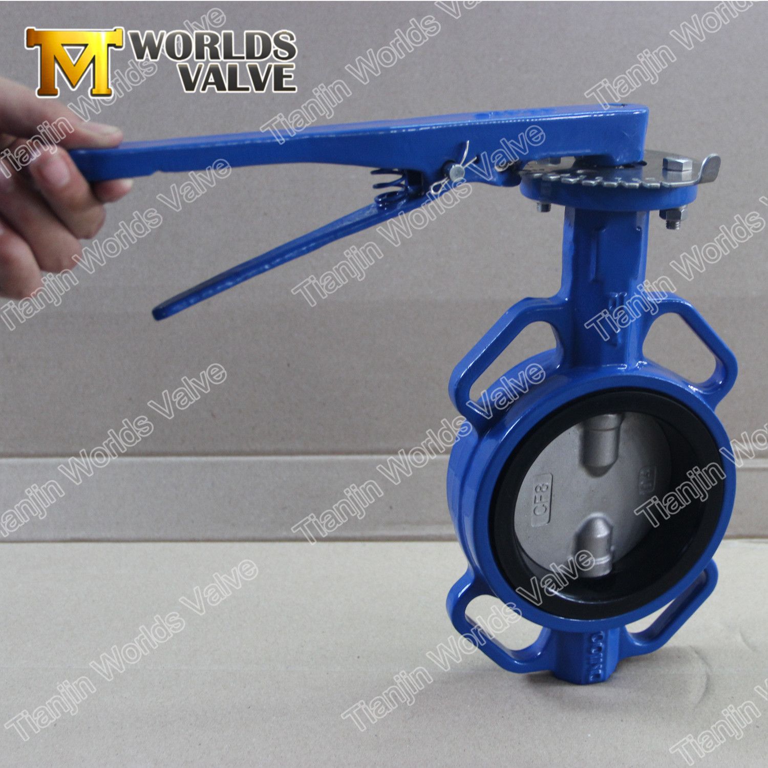 2peices Body Twin Shafts Wafer Butterfly Valve with Bare Stem
