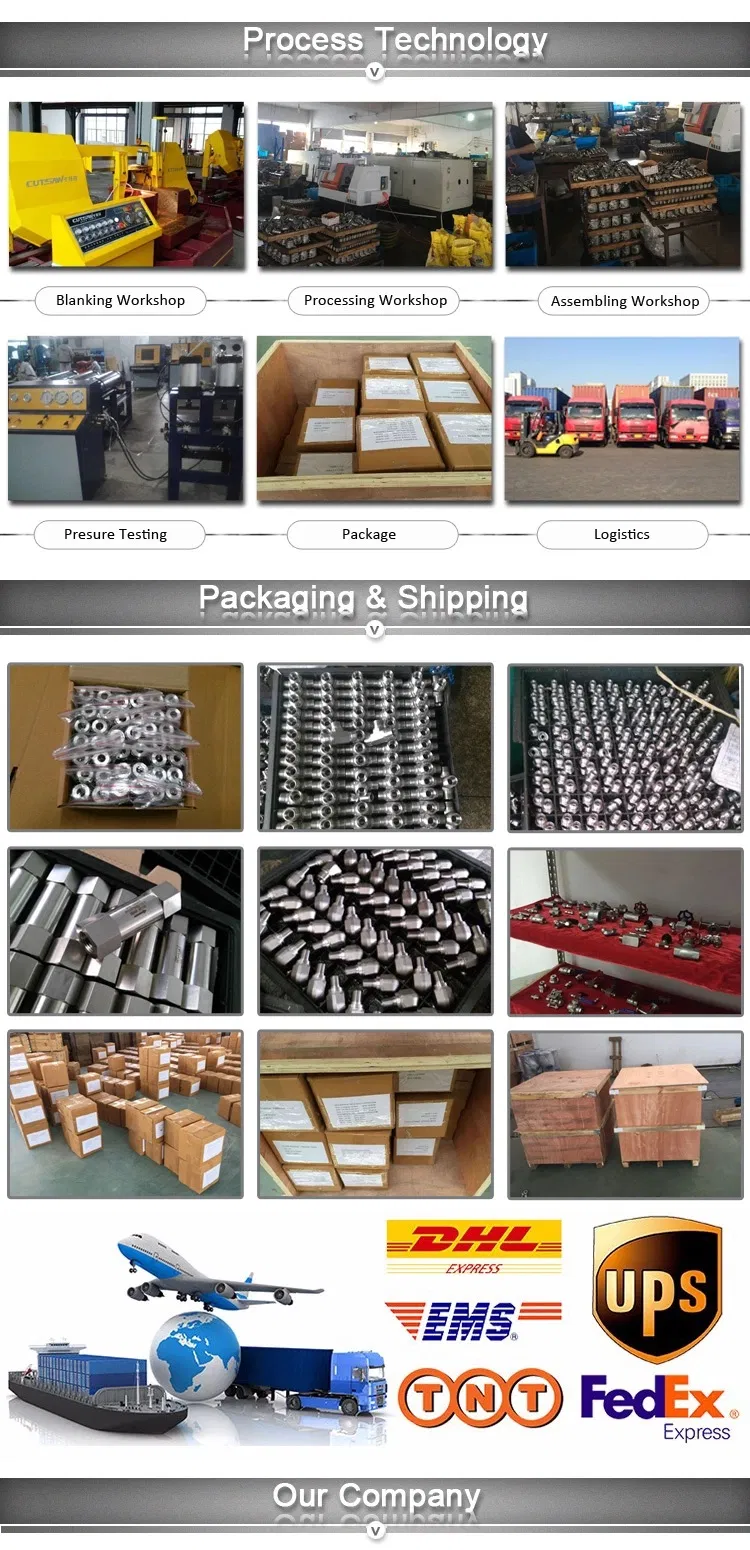 304/316 Stainless Steel CF8/CF8m/CF3m Gate Valve