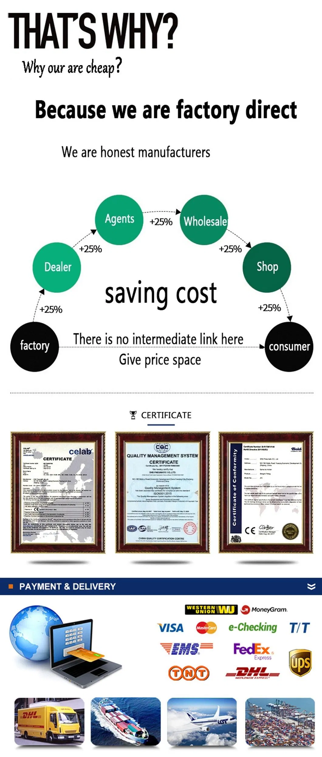 4V1 Series Aluminum Alloy Solenoid Valve Air Control 12V 14V 110V 240V