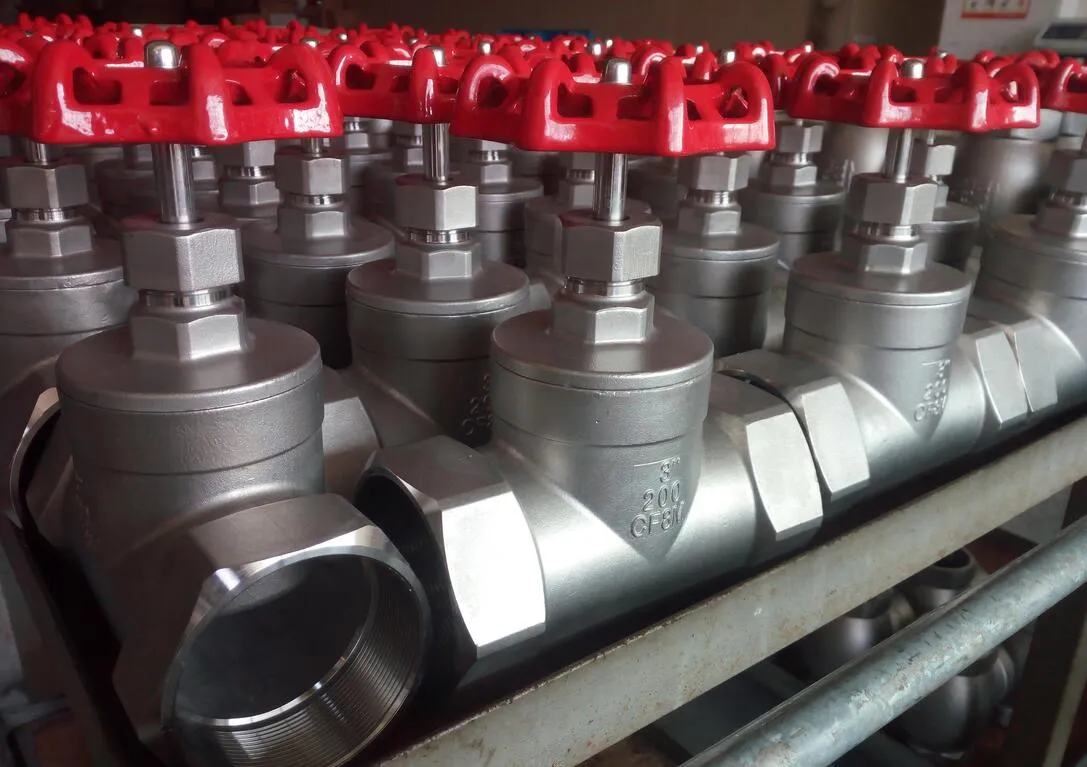 800wog Y Type Check Valve