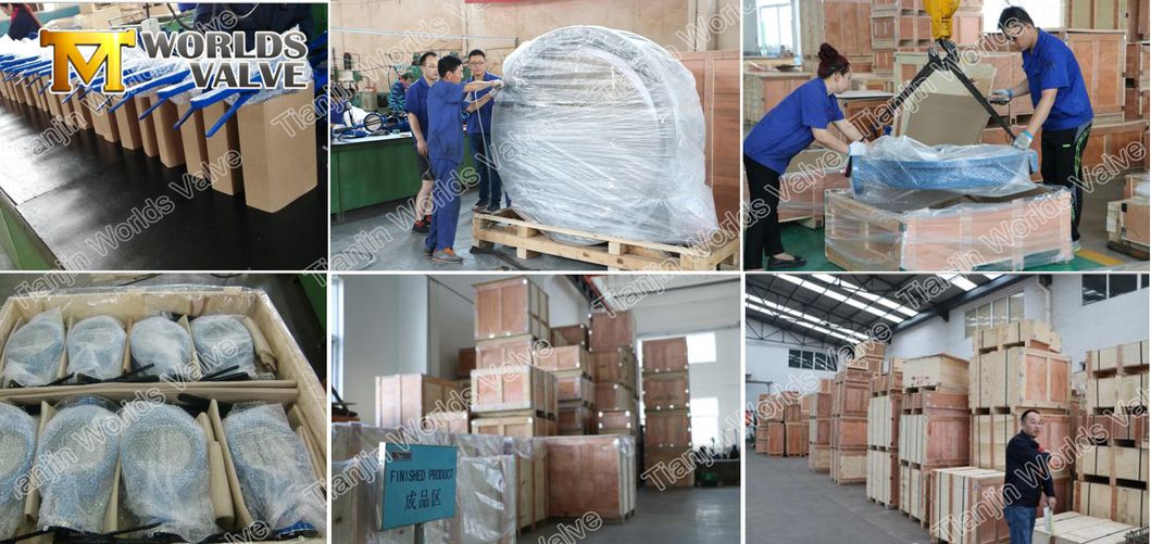 Ab2 B62 C6300 C95400 C95800 Aluminum Bronze Brass Nickel Butterfly Valves ABS Rina Dnv Lr Lloyd′s Register Approved