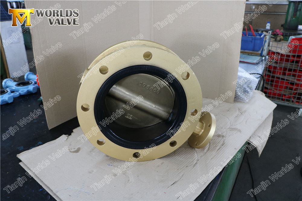 Ali Bronze C95400 C95800 C95500 Double Flanged Rubber Seated Butterfly Valve with No Disc Pin Design for Sea Water