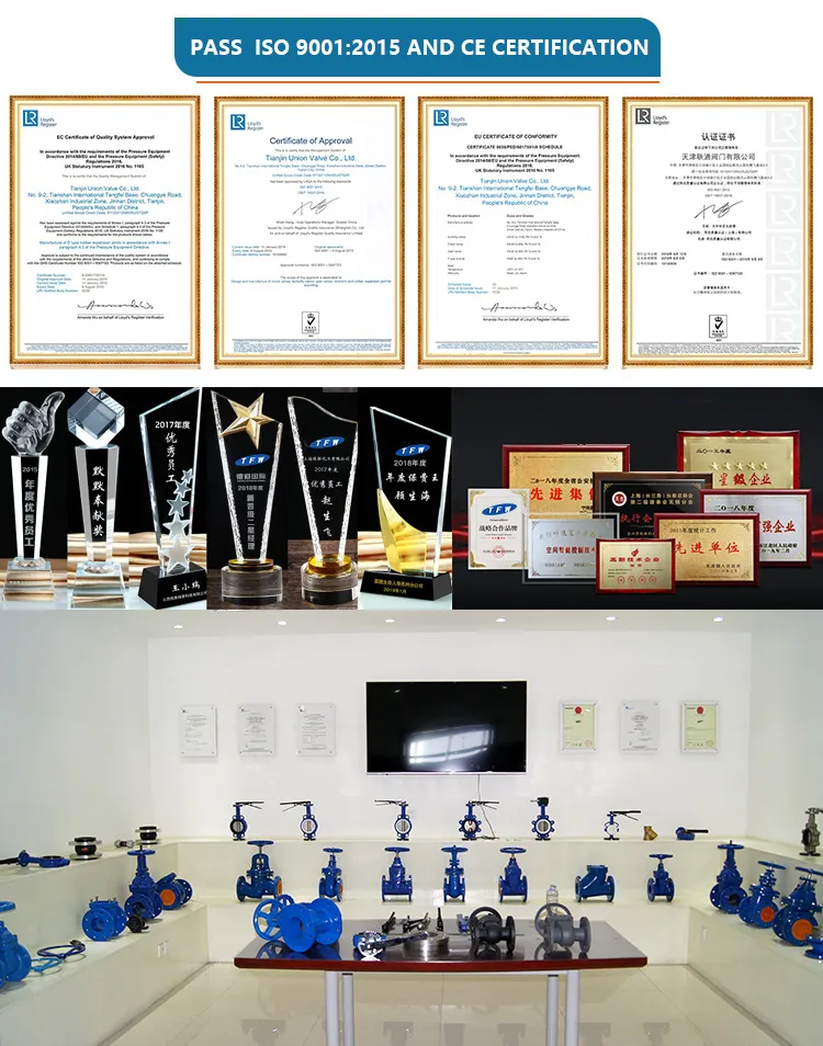 ANSI API CF8 Di Ci EPDM PTFE Strong Acid Ductile Iron Lever Opreated Wafer Lug Butterfly Valve China Suppliers