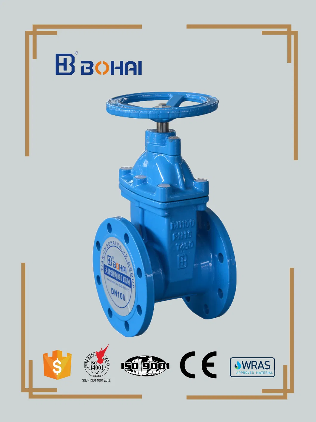 ANSI Non Rising Stem Dn150 Cast Iron Bronze Trim Rubber Gate Valve