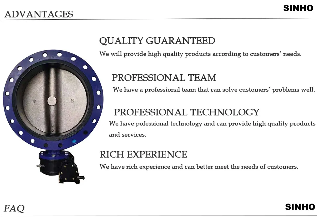 ANSI Standard CF8 Di Ci EPDM PTFE Strong Acid Ductile Iron Lever Opreated Wafer Lug Butterfly Valve