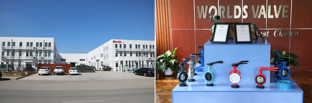 Anti-Corrosive Halar Painting High Quality Butterfly Control Valve with No Disc Pin Design