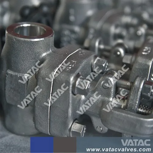 API 602 Forged Gate Valve A105