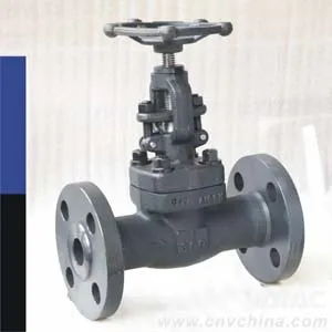 API 602 Forged Steel Gate Valve