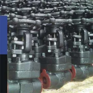 API 602 Forged Steel Gate Valve