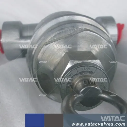 API 602 Forged Stel A105 Cl800 Check Valve