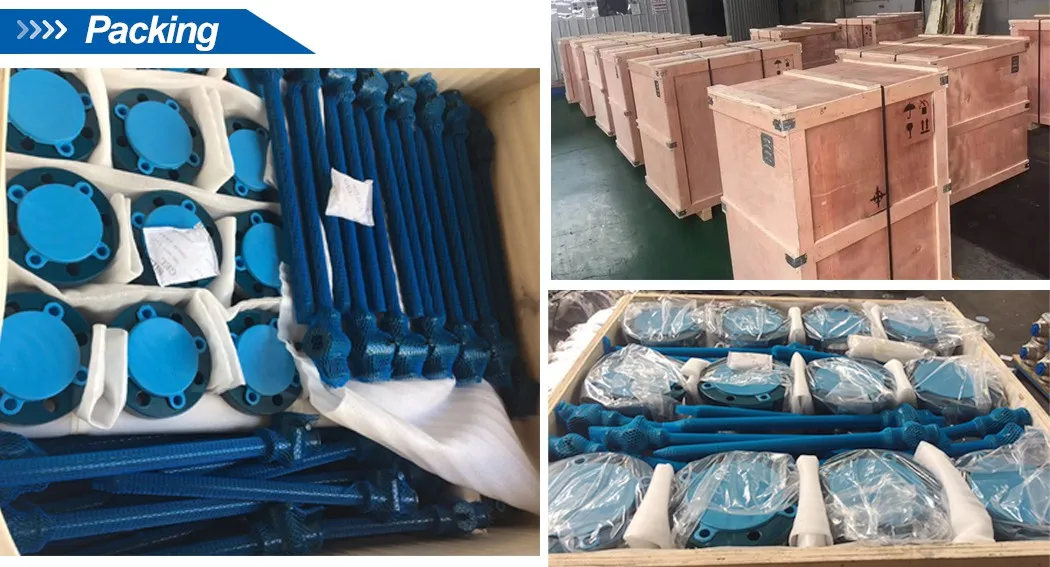 API 6D Forged Stainless Steel F316 Full Bore Flange Ends Trunnion Mounted Ball Valve