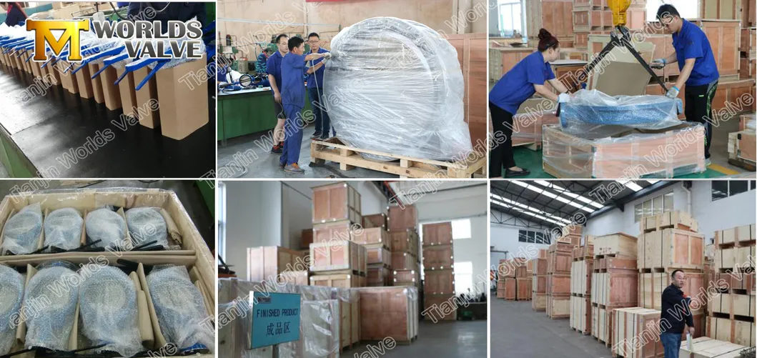 Awwa C509 Resilient Seated Rubebr Sluice Gate Valve