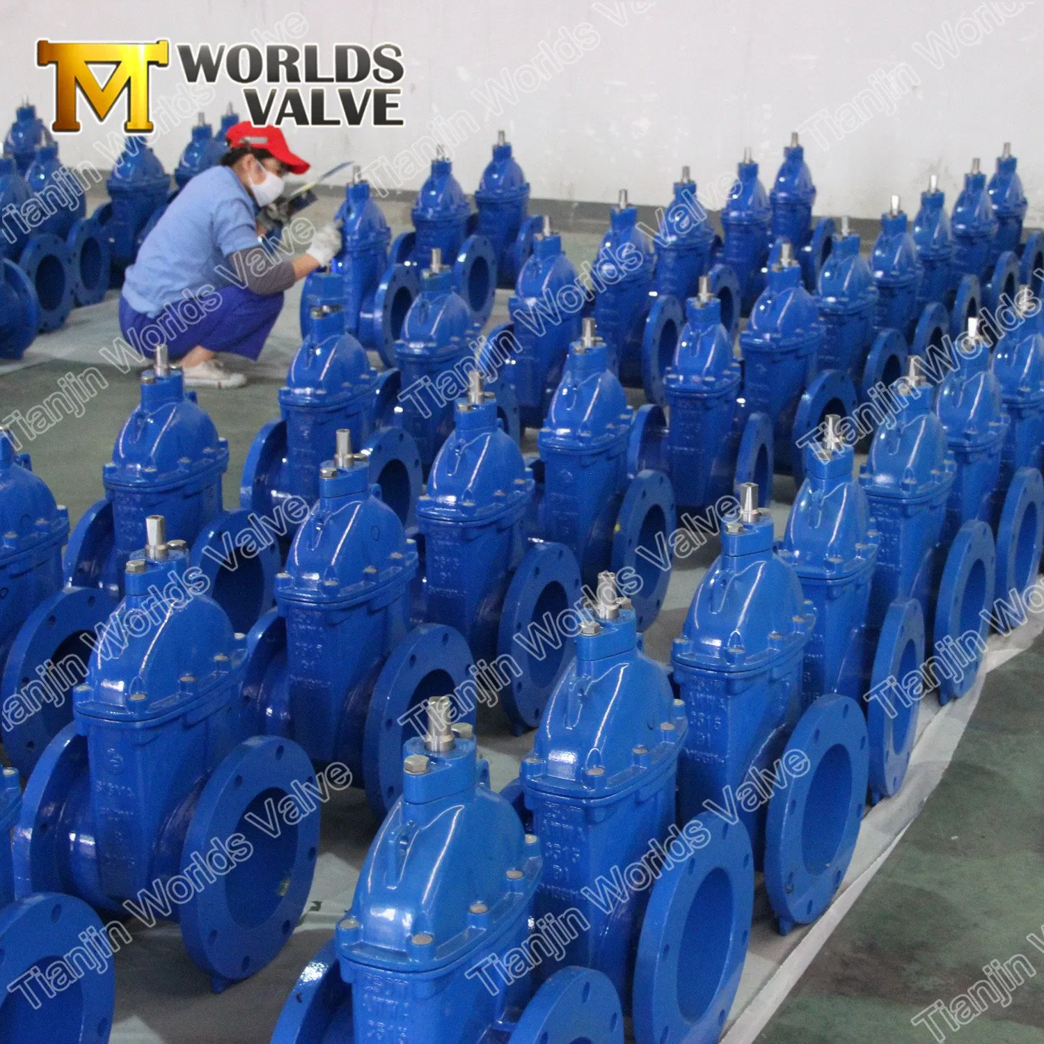 Awwa C509 Sluice Gate Valves with Top Cap Square Stem