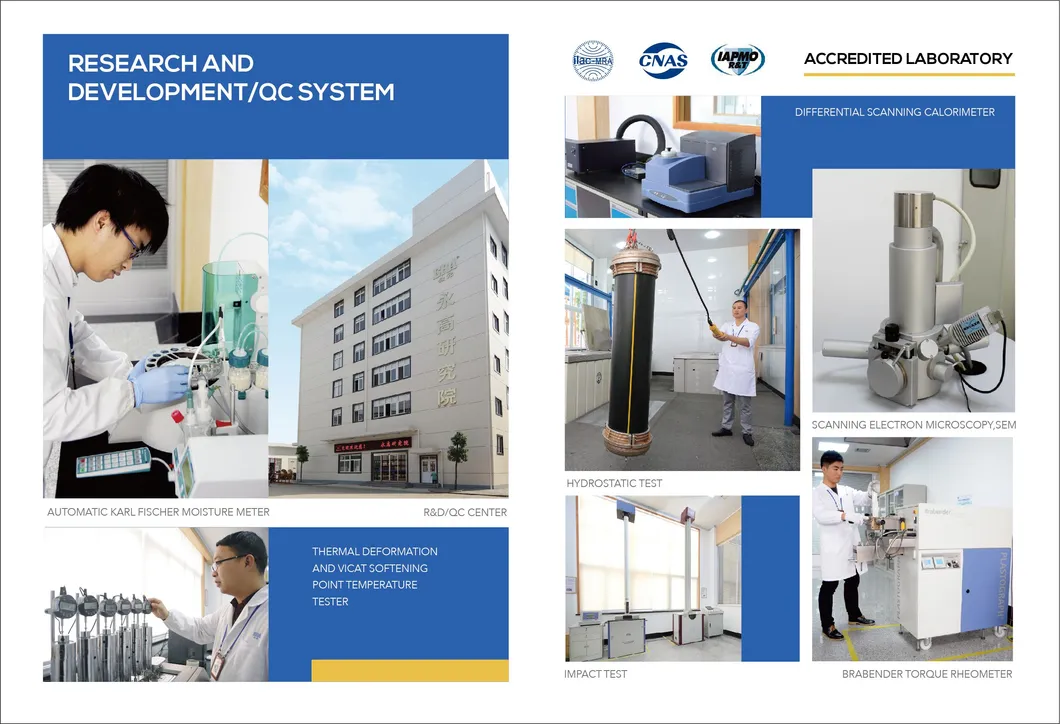 Best Quality Hot Made in China Era Plastic Valves Pn10 (F1970) NSF-Pw & Upc