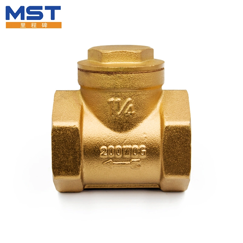 Brass Thread Industrial Full Bore Swing Check Valve for Gate Ball Water Oil Gas Water Pipe Fitting Auto Machine