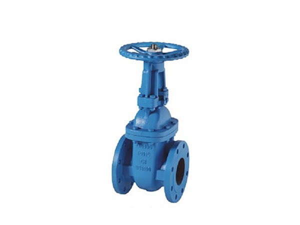 BS5150 Bronze Seat OS&Y Cast Iron Gate Valve