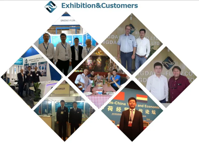 BS5150 Bronze Seat OS&Y Cast Iron Gate Valve