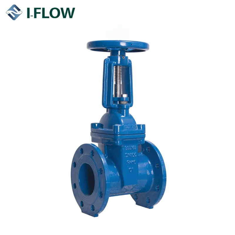 BS5150 Bronze Seat OS&Y Cast Iron Gate Valve