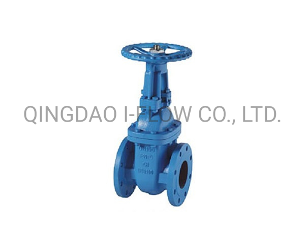 BS5150 Cast Iron Gate Valve Pn16 Flange Connection Type