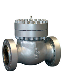 BS5153 Pn16 Cast Iron Swing Check Valve