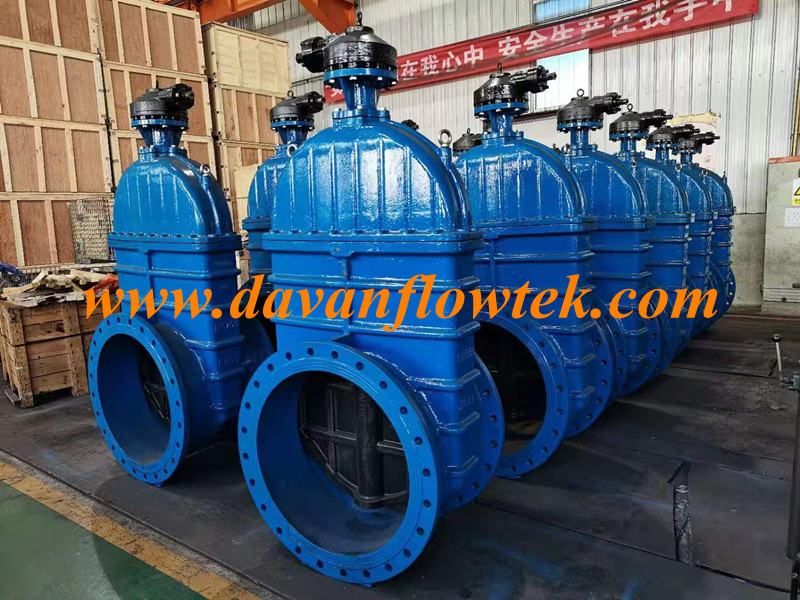 BS5163 Ductile Iron Ggg40 Rubber Wedge Gear Operated OEM Brand Flanged DN700 Pn10 Water Factory Gate Valve