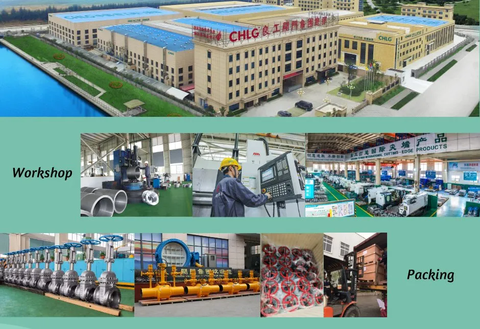 Bw 1/4" 1/2" 11/4" 1 1/2" 2" 800#1500#2500# CS Ss A105n F304 F316 F11 F22 F91 Fb Rb Forging Globe Valve