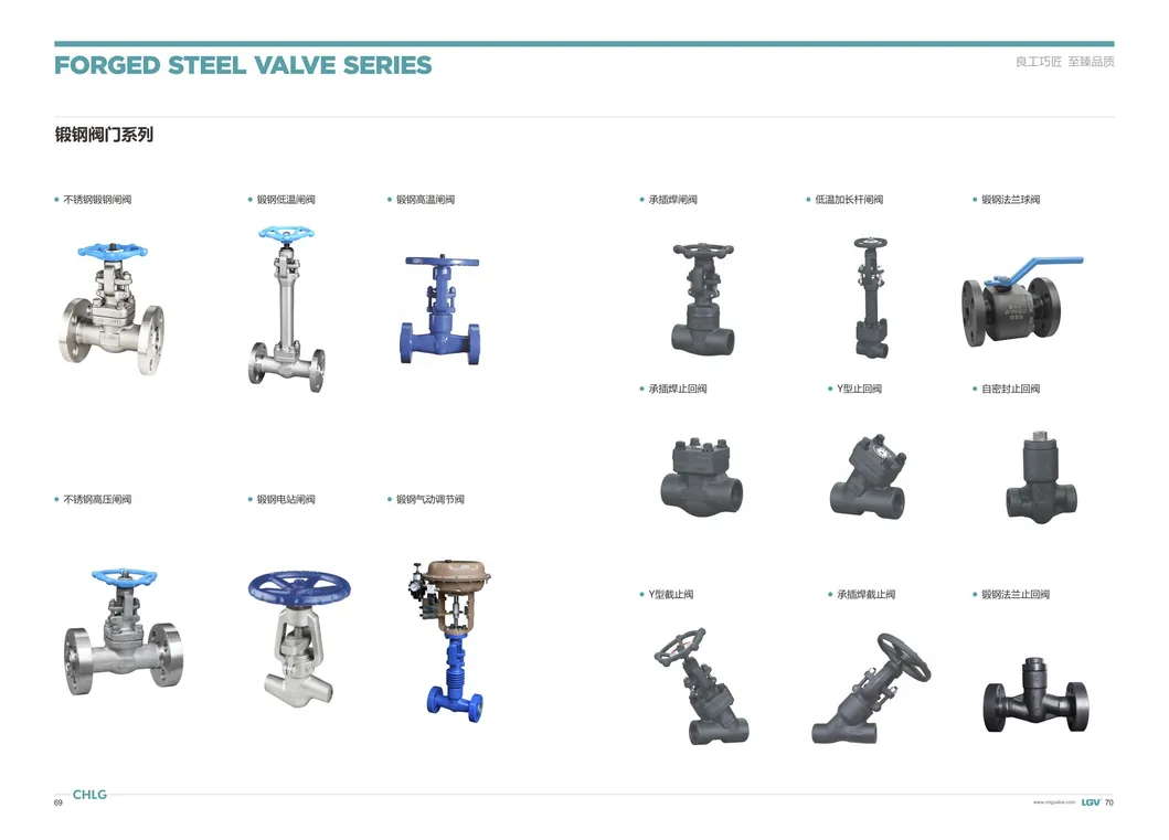 Bw 1/4" 1/2" 11/4" 1 1/2" 2" 800#1500#2500# CS Ss A105n F304 F316 F11 F22 F91 Fb Rb Forging Globe Valve