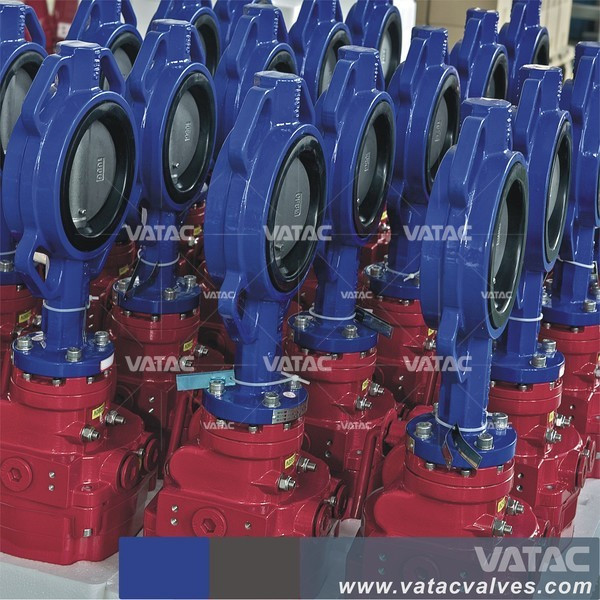 Cast & Ductile Iron Pn6 /Pn10/Pn16 Wafer Butterfly Valve