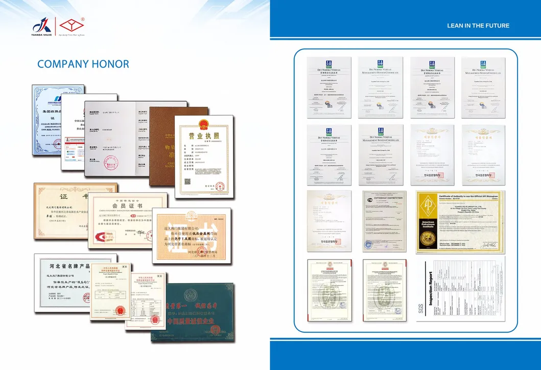 Cast iron/ductile iron globe valve PN16