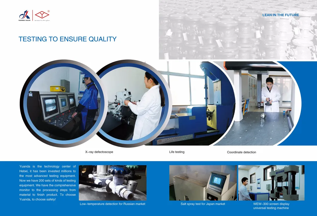 Cast iron/ductile iron globe valve PN16