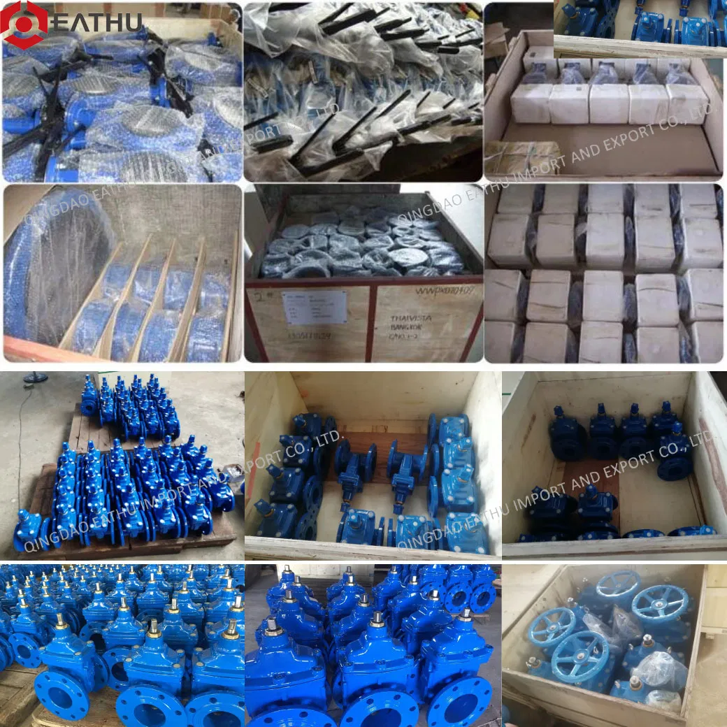 Cast Iron / Ductile Iron Nrs Pn10/Pn16, Resilient Seated Gate Valves with Socket End