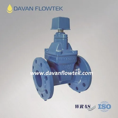 Cast Iron Flanged DIN3352 F4 Rubber Resilient Gate Valve