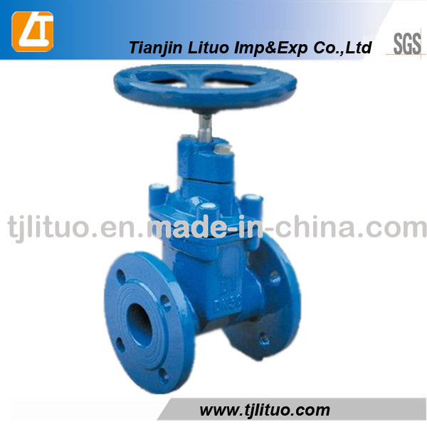 Cast Iron Resilient Seal Gate Valve