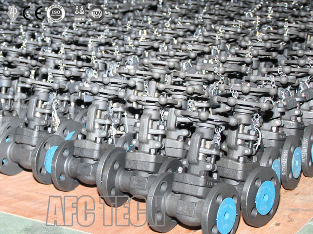 Cast Iron Rising Stem Gate Valve
