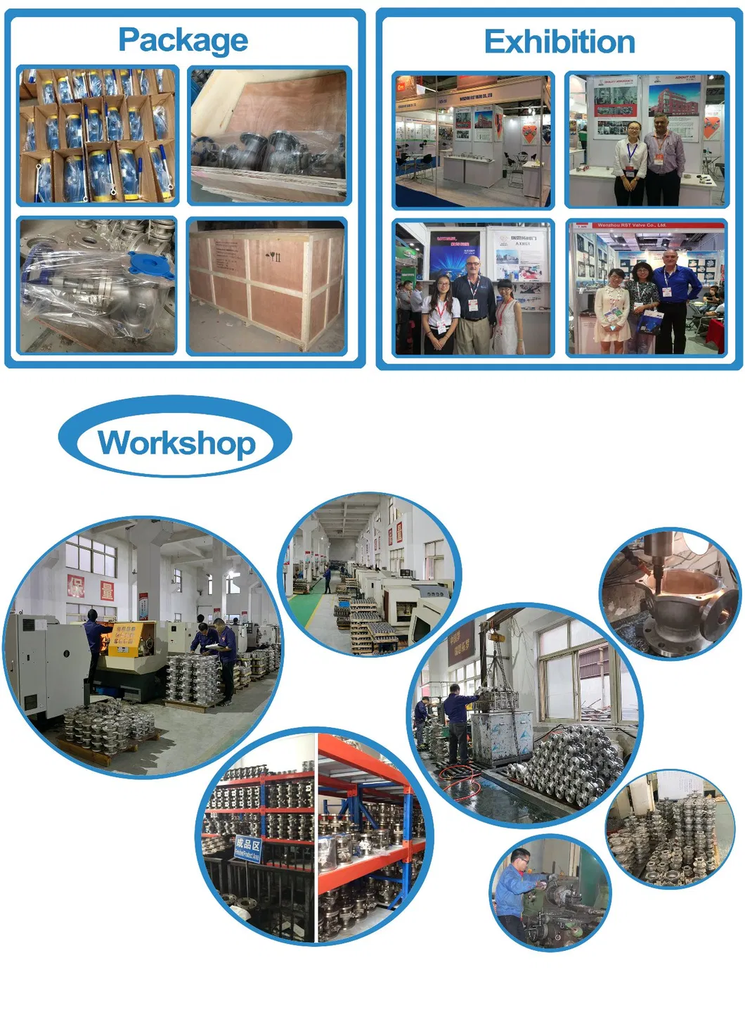 Cast Stainless Steel Flanged Swing Check Valve