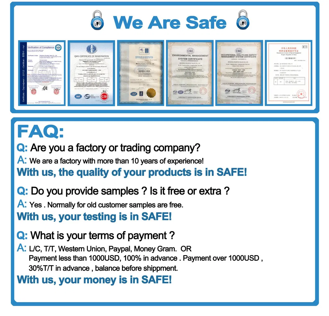 Cast Stainless Steel Flanged Swing Check Valve